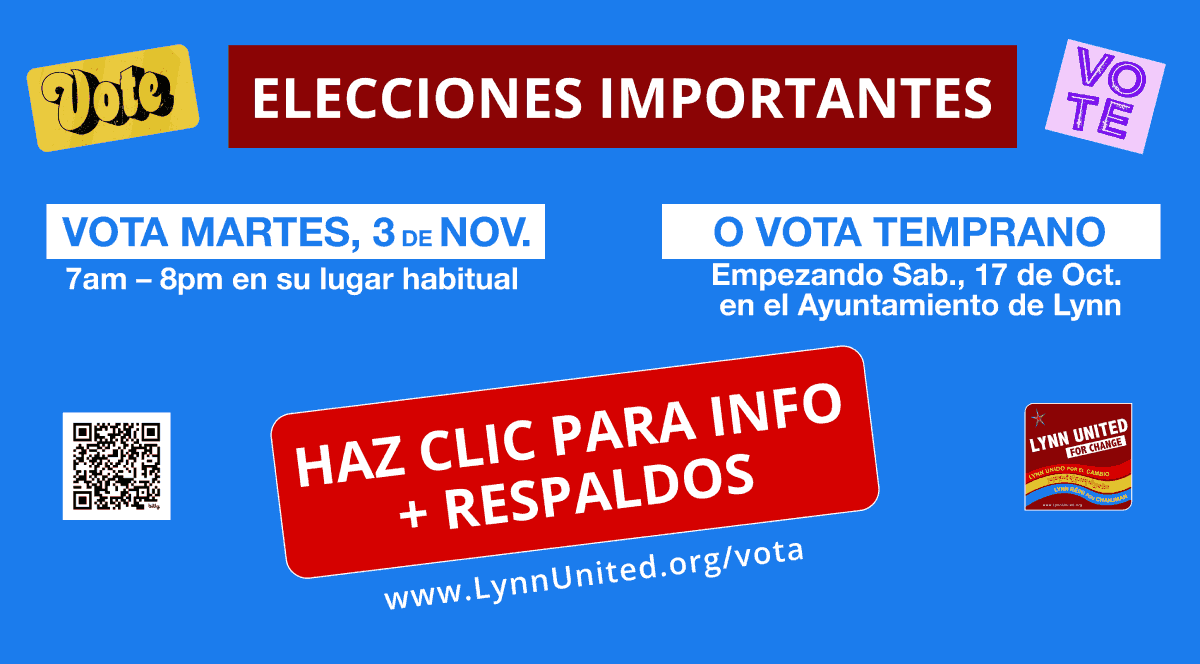 Volante - elecciones